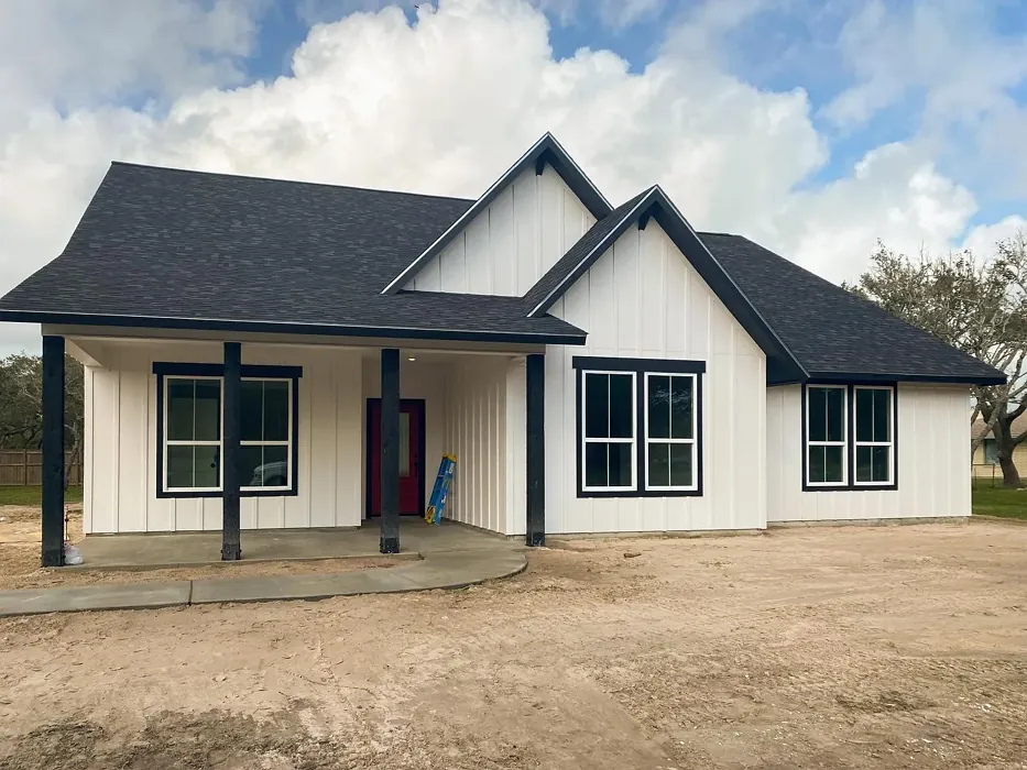 Sherwin Williams Ibis White exterior color