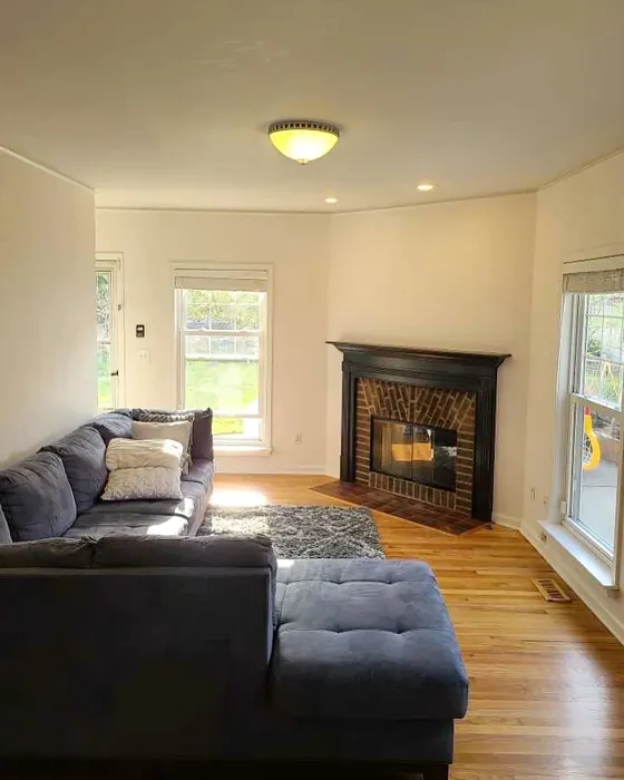 Sherwin Williams Ibis White living room interior