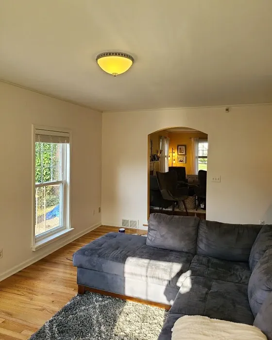 SW Ibis White living room review