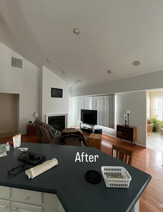 SW Ice Cube living room color