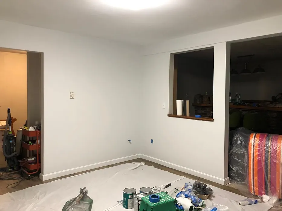 SW Ice Cube music room color