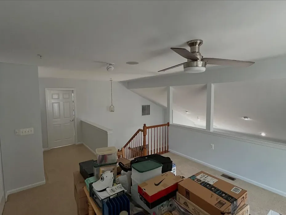 SW 6252 hallway paint review