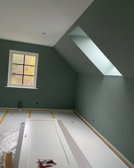 Jotun Iconic wall paint color review