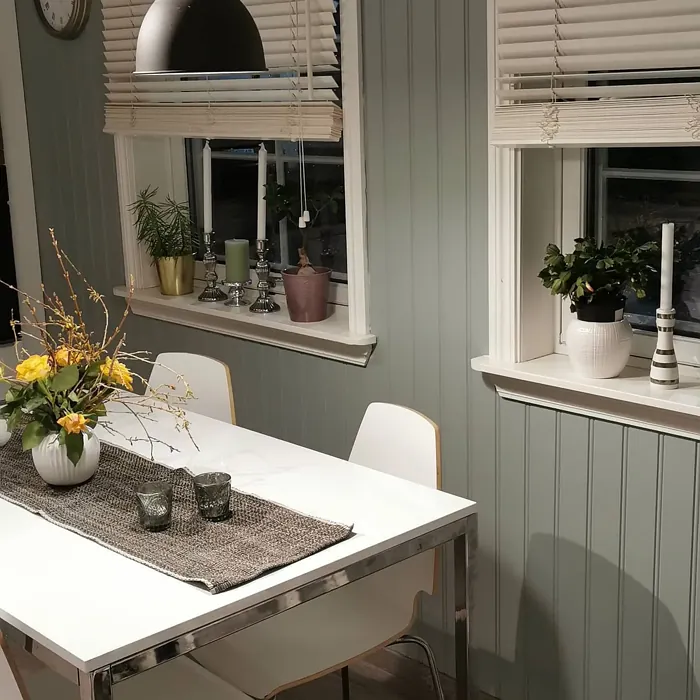 Jotun Iconic dining room paint