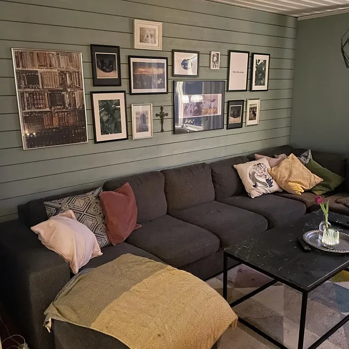 Jotun Iconic living room picture