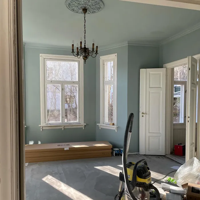 Jotun Iconic wall paint color review