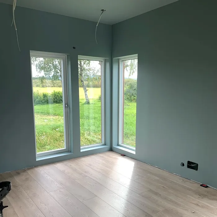 Jotun Iconic paint color review