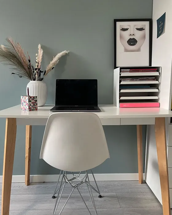 Jotun Iconic home office color