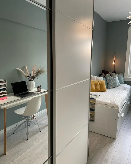 Jotun Iconic home office color review