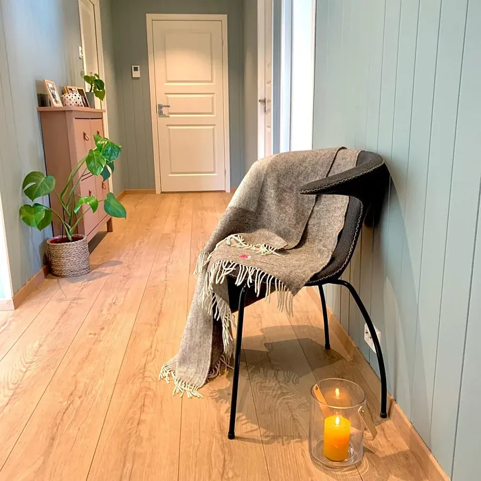 Jotun Iconic hallway color