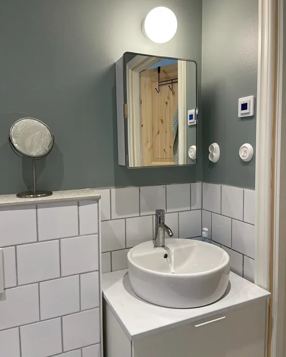 Jotun Iconic bathroom paint review