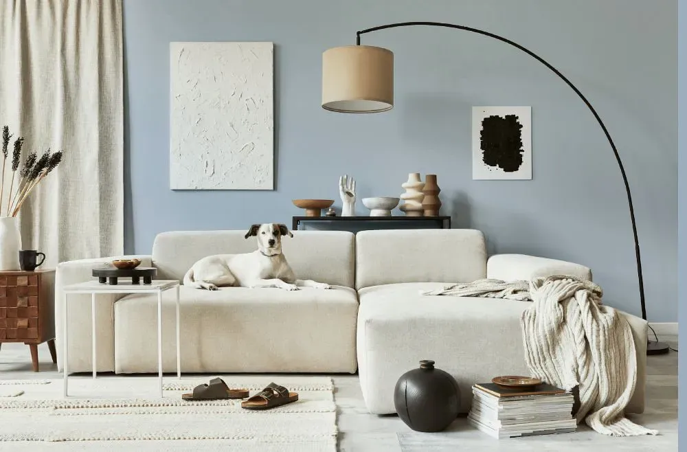Sherwin Williams Icy cozy living room