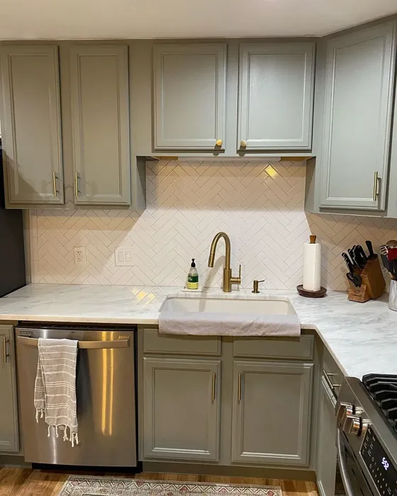 Illusive Green kitchen cabinets picture
