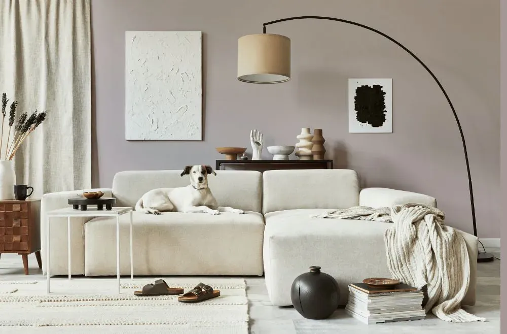 Sherwin Williams Imagine cozy living room