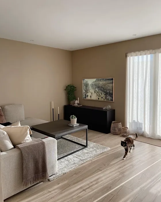 Jotun Impression living room color