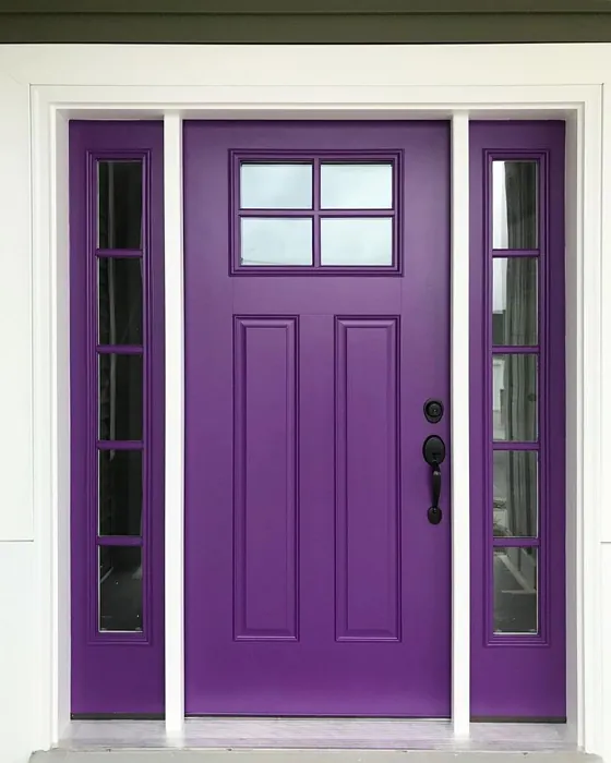Sherwin Williams Impulsive Purple Front Door