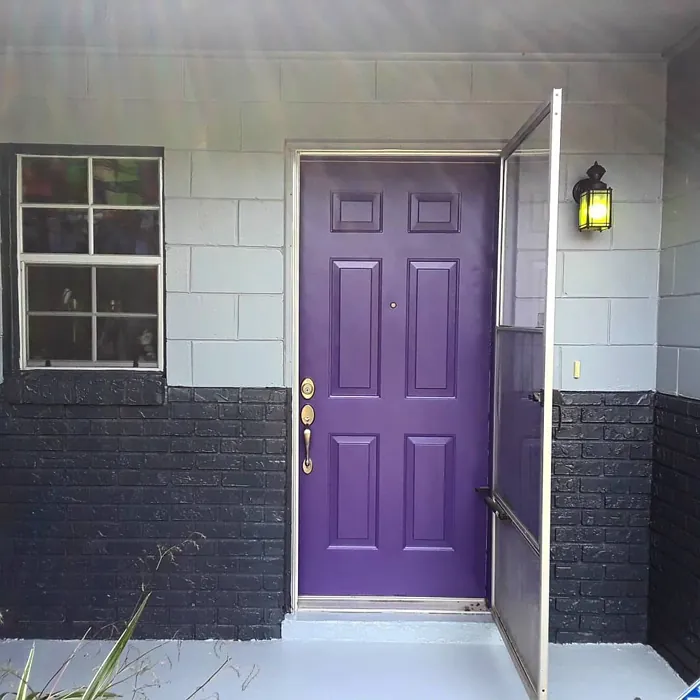 Sherwin Williams Impulsive Purple Door