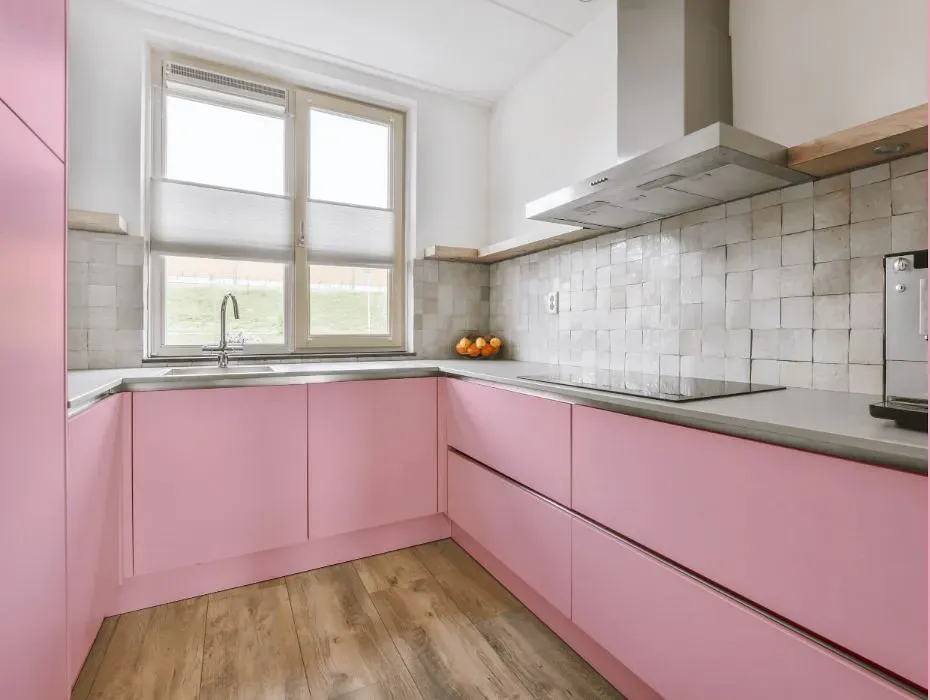Sherwin Williams In the Pink small kitchen cabinets