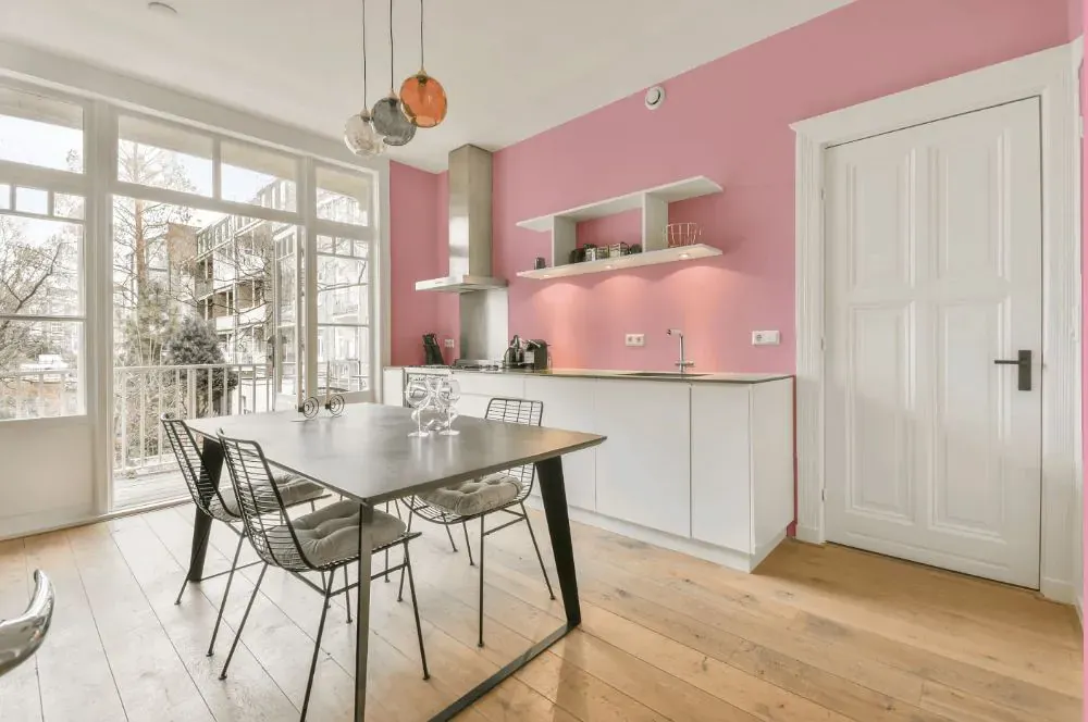 Sherwin Williams In the Pink kitchen review