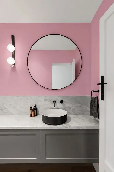 Sherwin Williams In the Pink minimalist bathroom