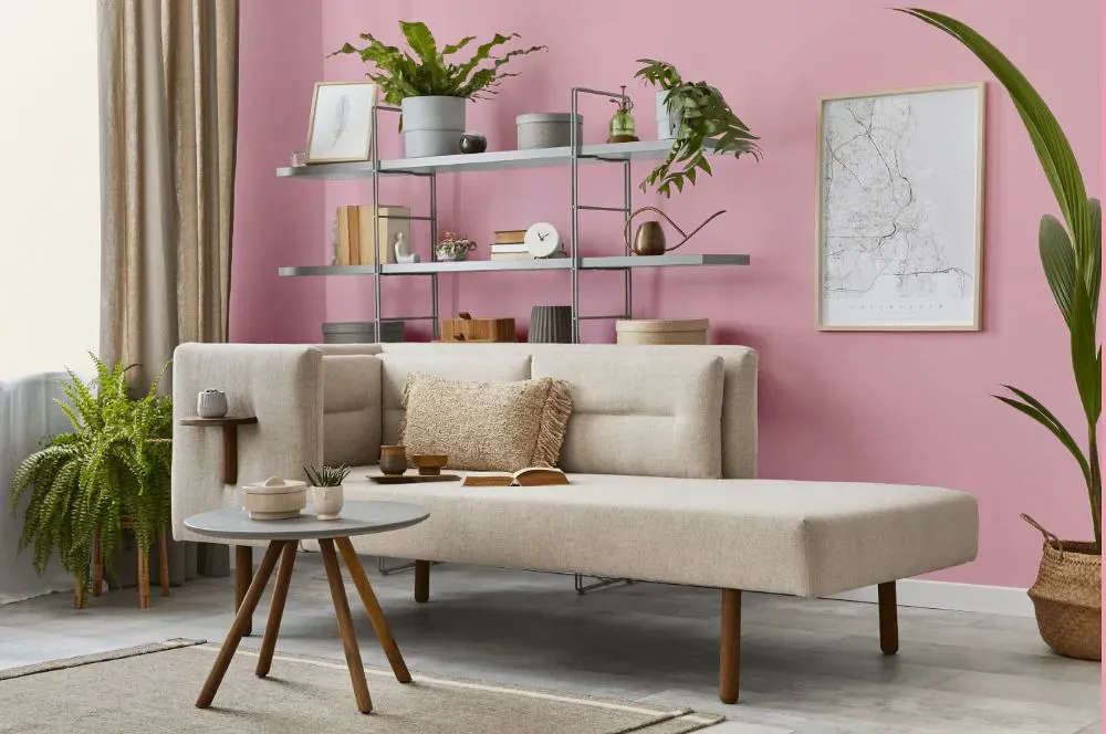Sherwin Williams In the Pink living room