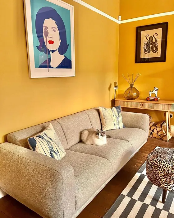 Farrow and Ball India Yellow 66 living room