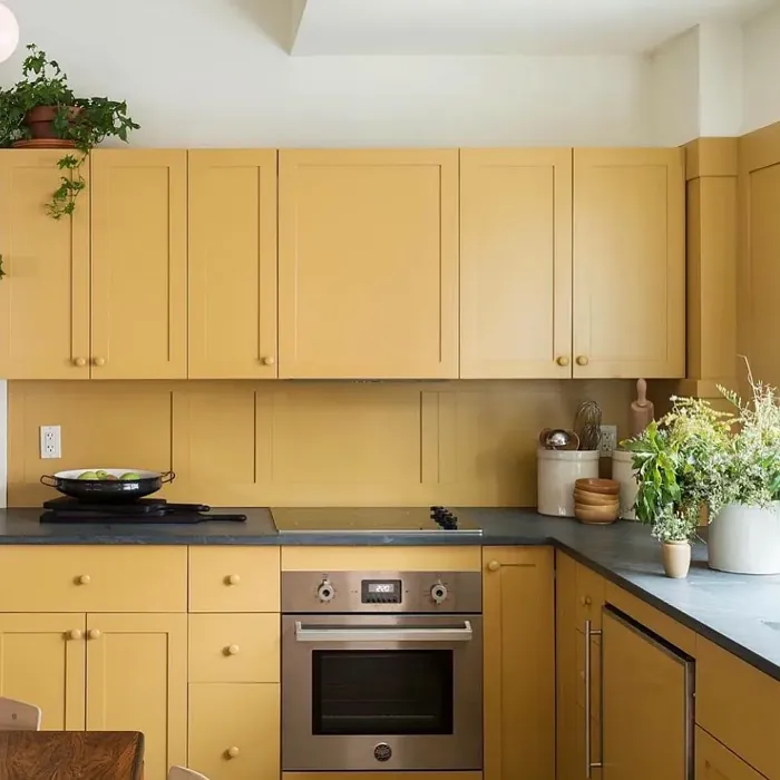 Farrow and Ball India Yellow 66 kitchen cabinets