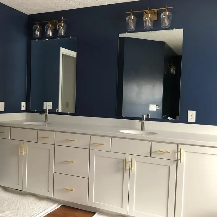 Sherwin Williams SW 7602 bathroom color review