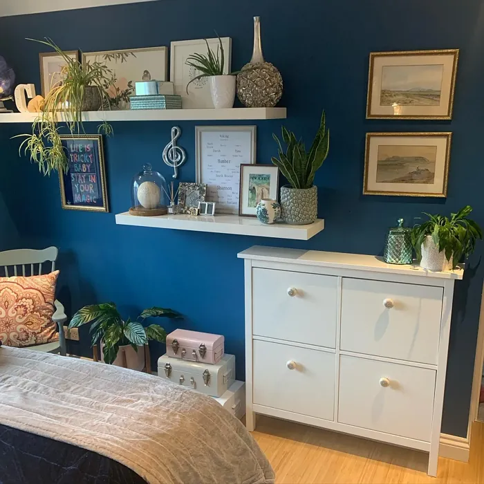 Dulux Indigo Shade bedroom interior