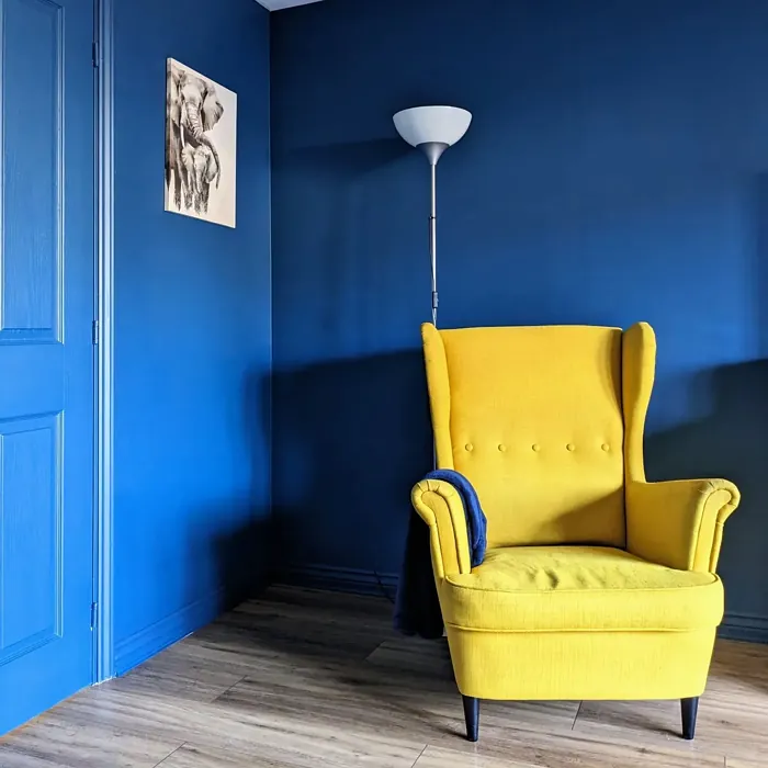 Dulux Indigo Shade living room paint review