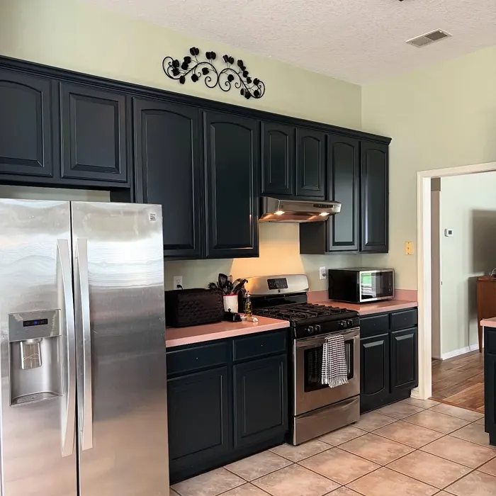 Sherwin Williams Inkwell kitchen cabinets 