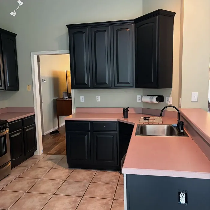 SW Inkwell kitchen cabinets color