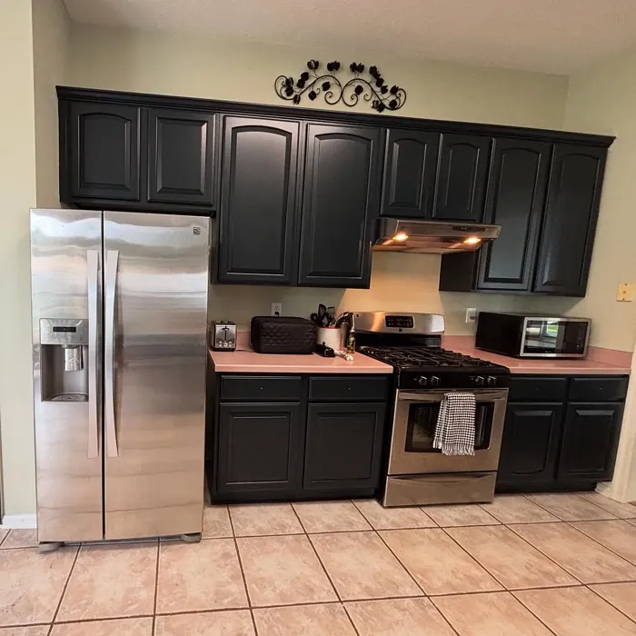 SW 6992 kitchen cabinets color