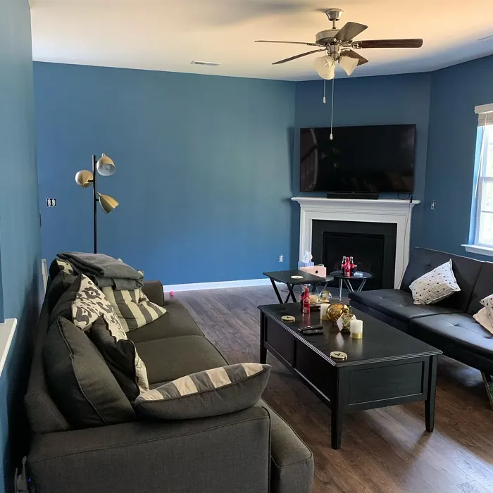 Sherwin Williams Inky Blue living room picture