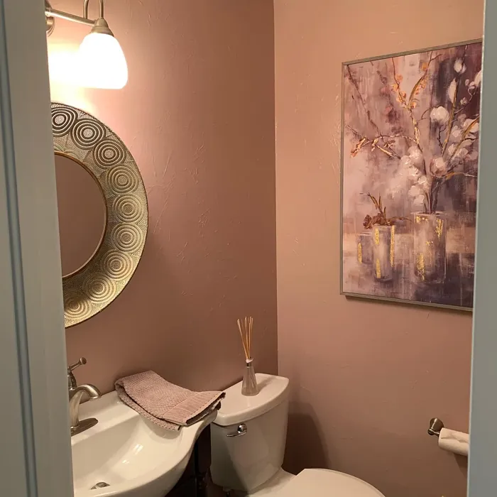 Insightful Rose Bathroom