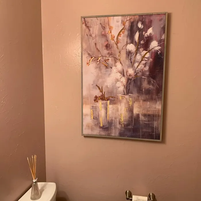 Sw Insightful Rose Bathroom