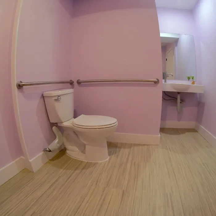 Sherwin Williams Inspired Lilac bathroom 