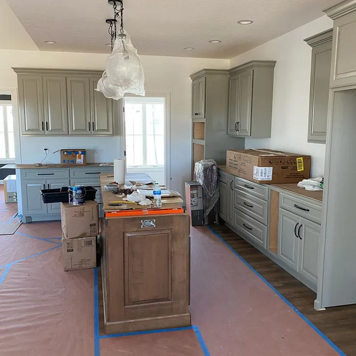 Intellectual Gray Kitchen Cabinets