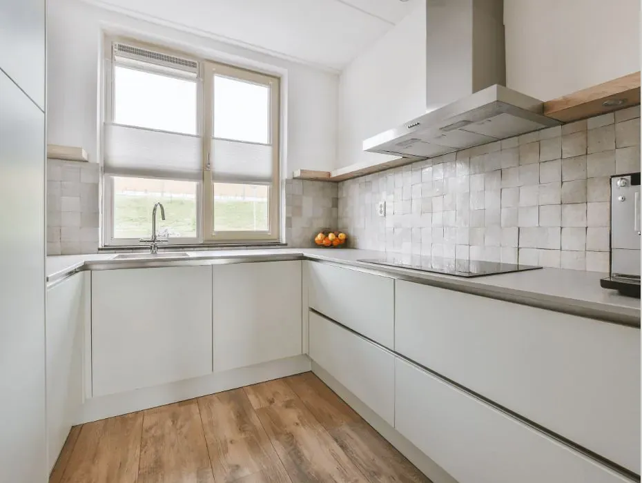 Sherwin Williams Intrepid Grey small kitchen cabinets