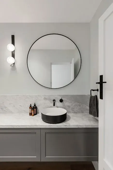 Sherwin Williams Intrepid Grey minimalist bathroom