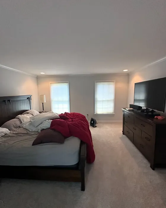 SW Intrepid Grey bedroom color