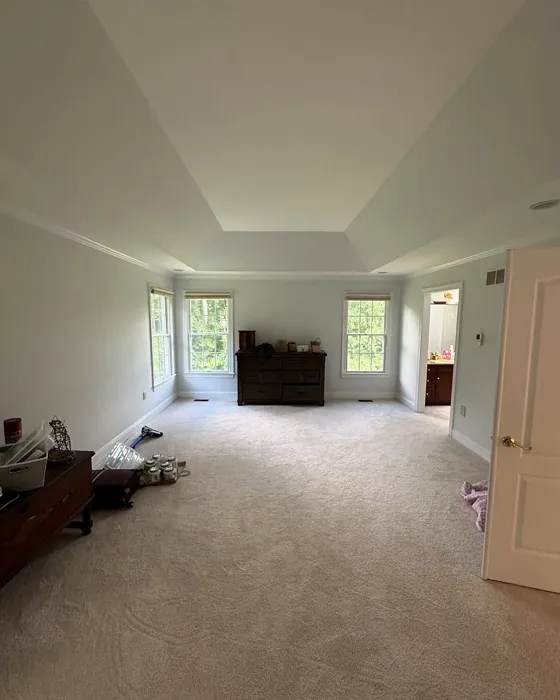 SW Intrepid Grey bedroom review