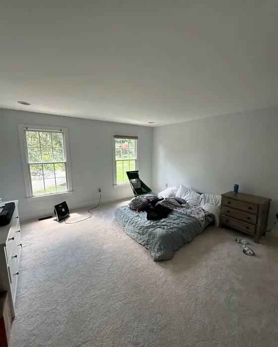 SW Intrepid Grey bedroom paint review