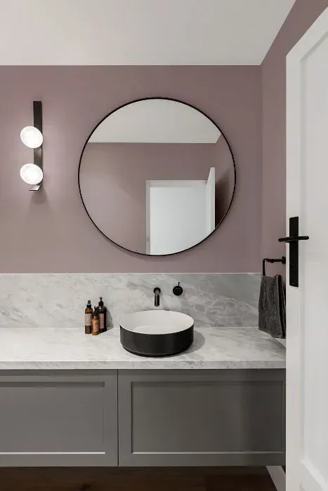 Sherwin Williams Intuitive minimalist bathroom