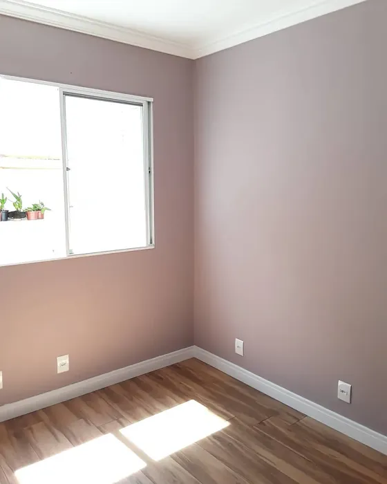 Sherwin Williams Intuitive wall paint review