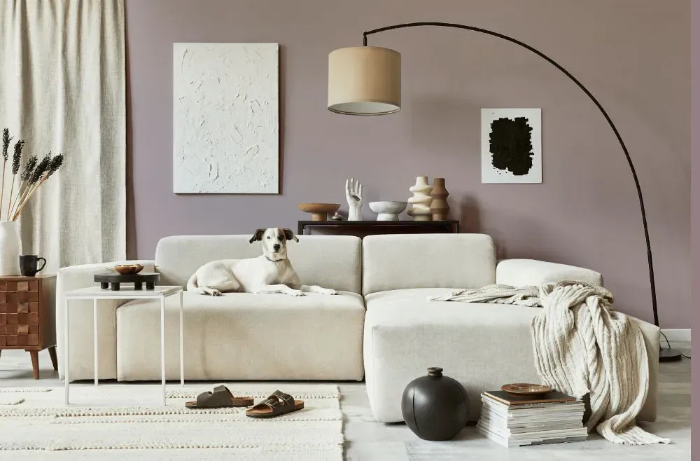Sherwin Williams Intuitive cozy living room