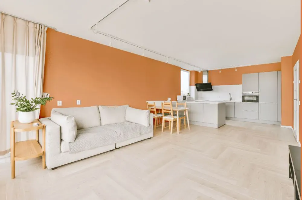 Sherwin Williams Inventive Orange living room interior