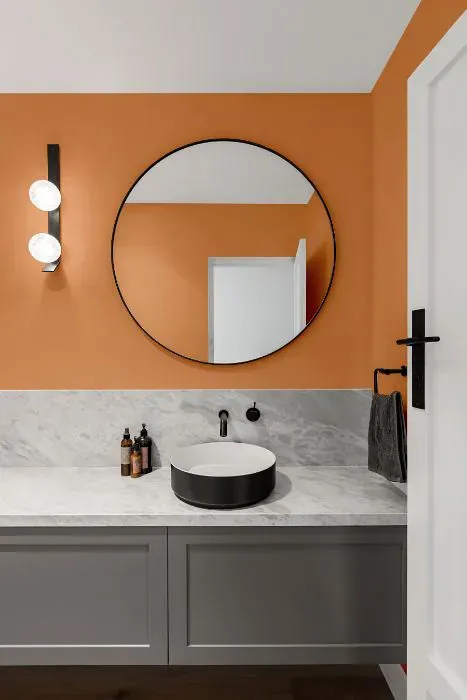 Sherwin Williams Inventive Orange minimalist bathroom