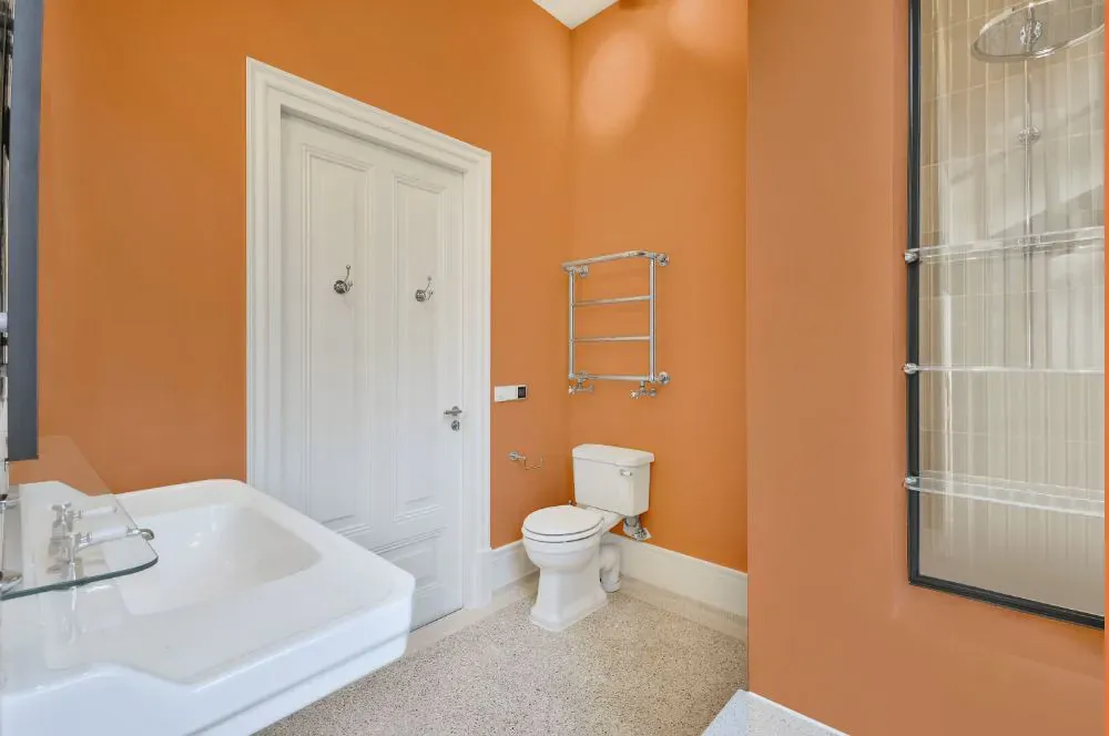 Sherwin Williams Inventive Orange bathroom