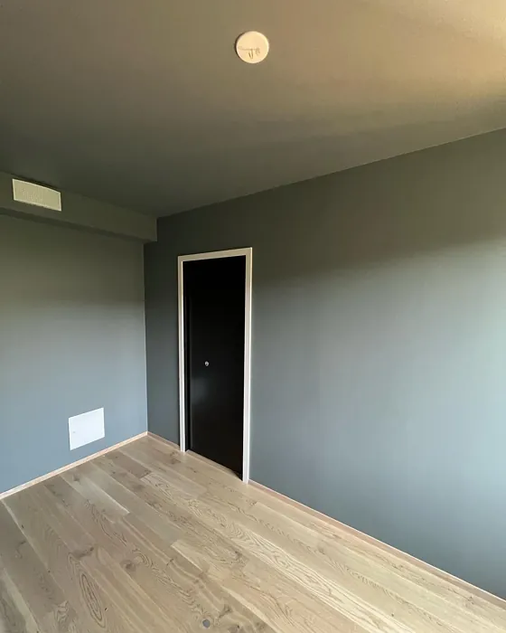 Jotun Iron Blue wall paint color